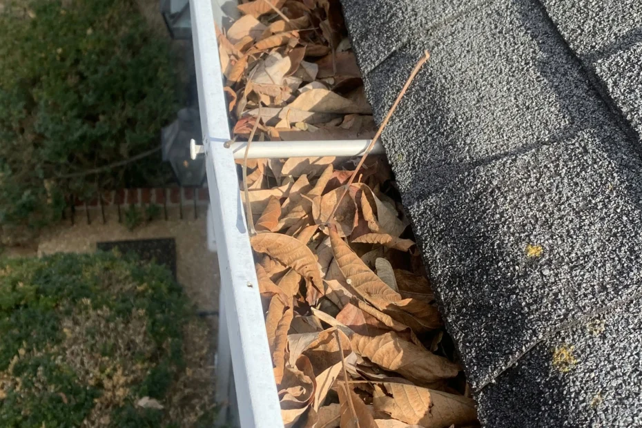 Gutter Cleaning Rocky River OH